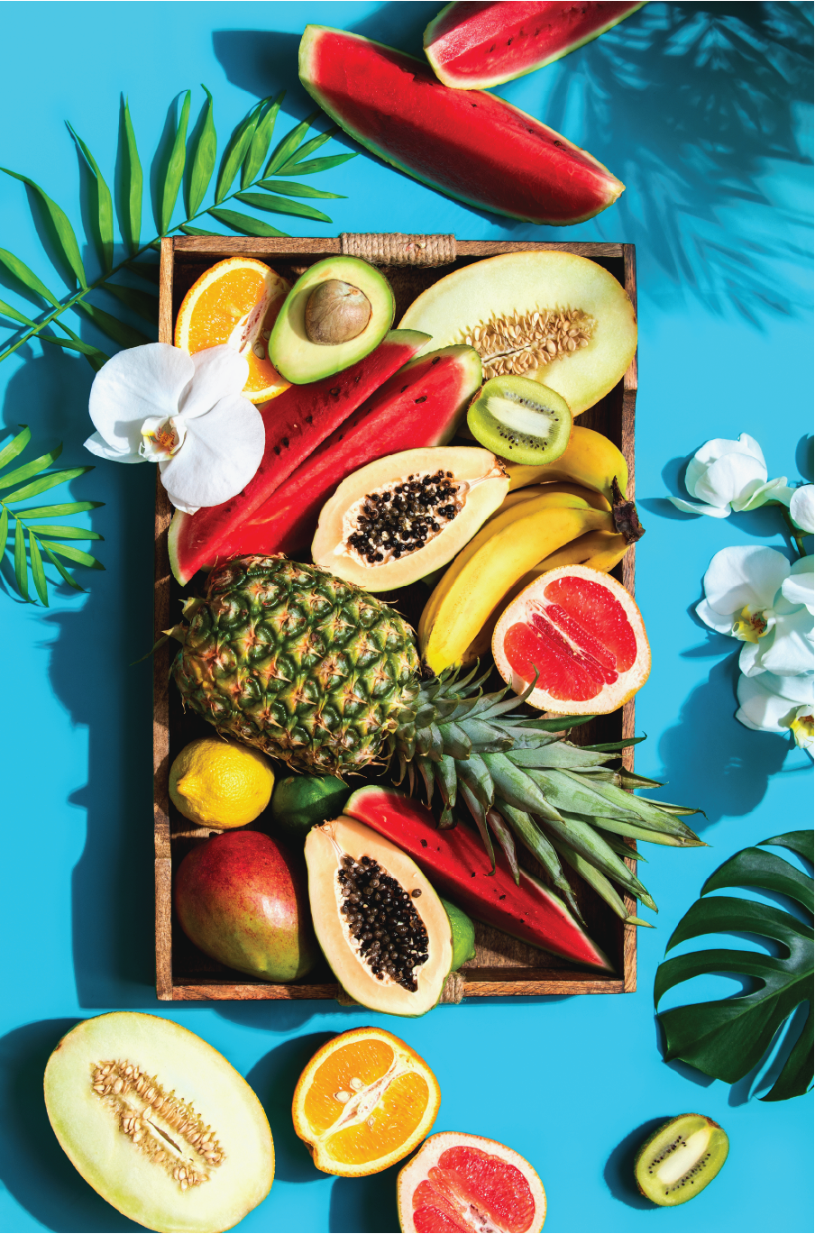 Alohaaa supporting brand illustration